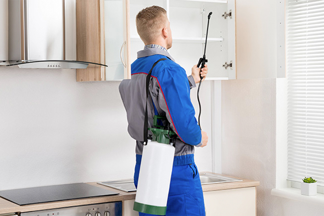 pest control Miami